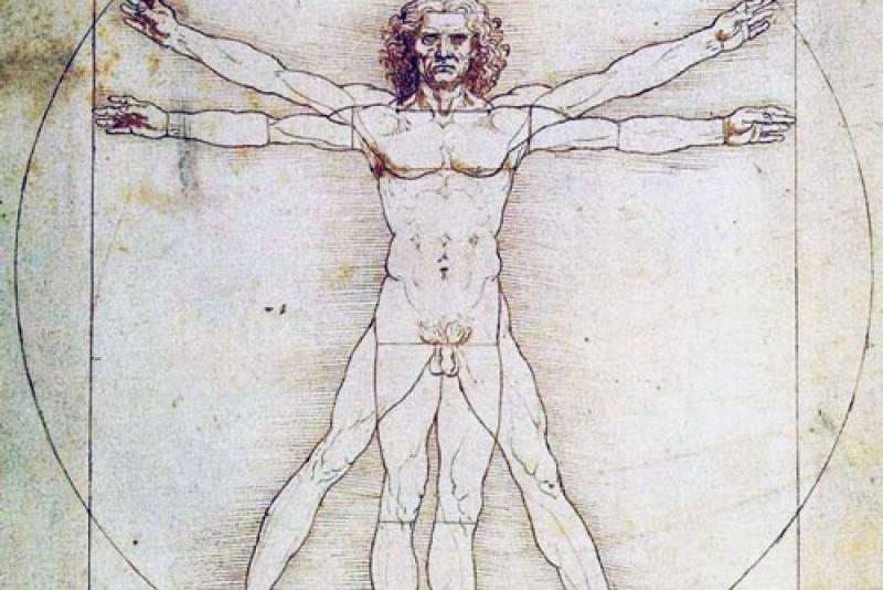 Homo Quadratus - Leonardo da Vinci